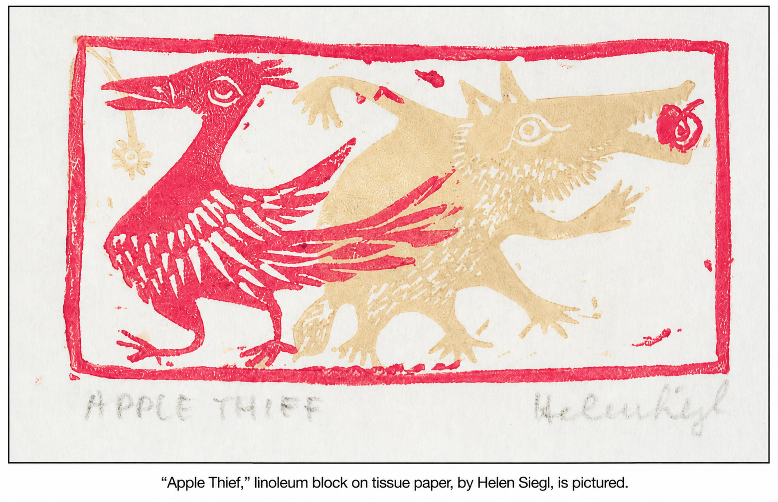 Cropped Star Democrat newspaper image showing Helen Siegl's Apple Thief and its caption